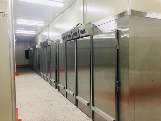 タイプこね粉の最終的なProoferの発酵槽部屋の倍のYasur YST-1R2ロールは40X60cmの皿220V 2KWを悩ます